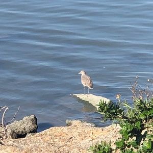 Meet your Posher, ww